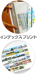 商品写真：インデックスプリント